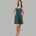 Women Fit & Flare Dress